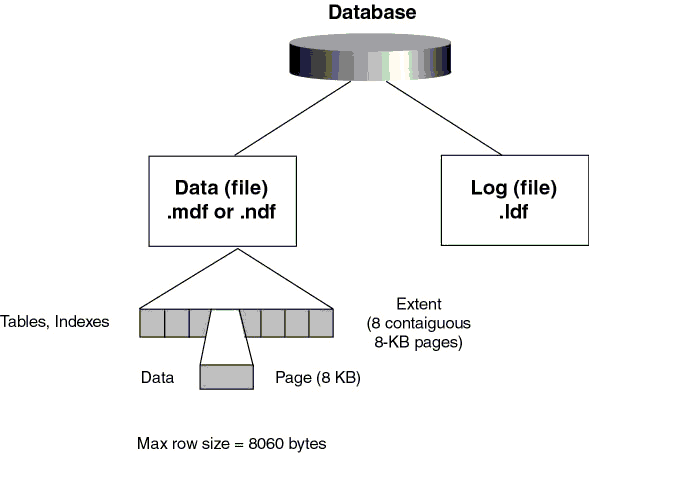 Cấu trúc của một CSDL trên SQL Server