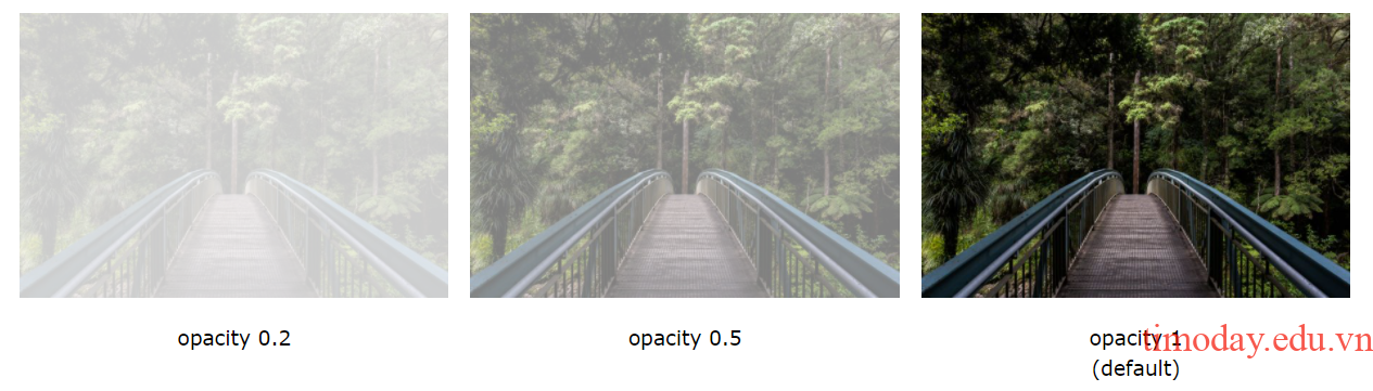 opacity