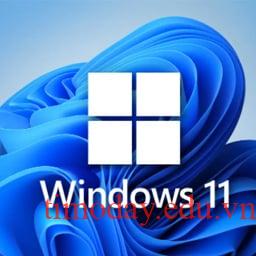 Hệ điều hành Windows 11